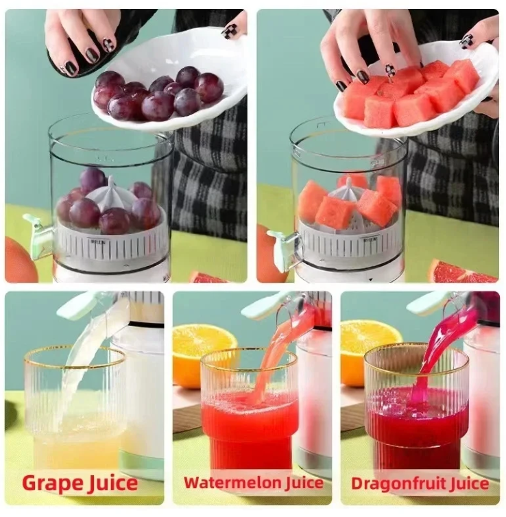 Multi fruit juicer