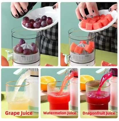 Multi fruit juicer