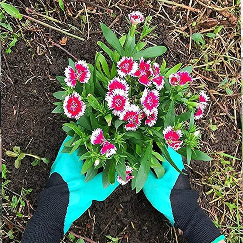 Claw Gardening Gloves